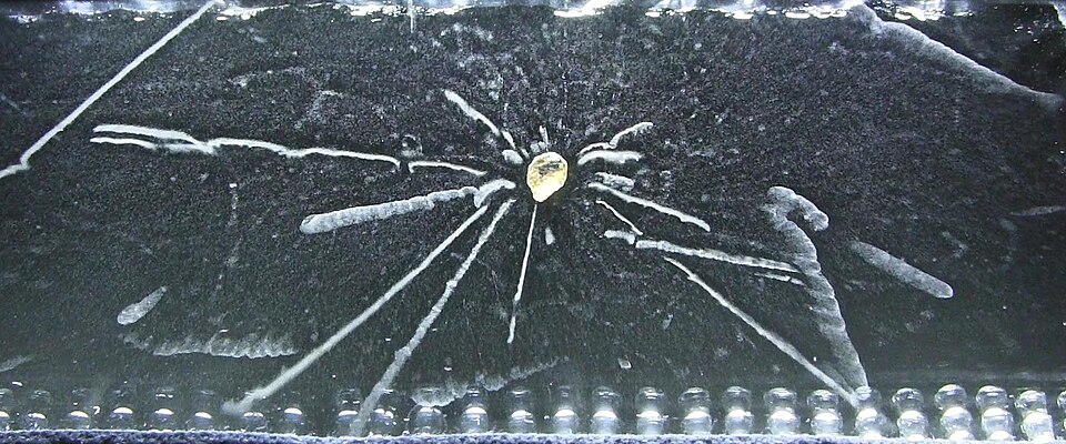 cloud chamber radioactivity